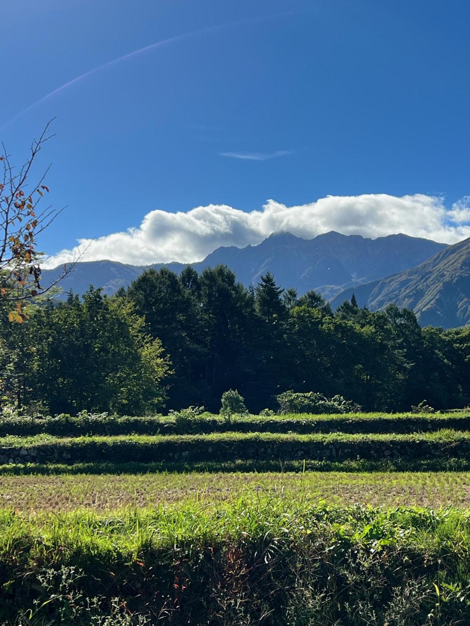 シャレーホテル　ハイジホフ 白馬村 エクステリア 写真